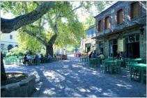 Agiasos Zentrum (Platia wie man im Griechisch sagt). Traditionele Cafe's (Kafenia) untem Uralte Platanien Bäümen ist der treffpunkt der Bewohner.